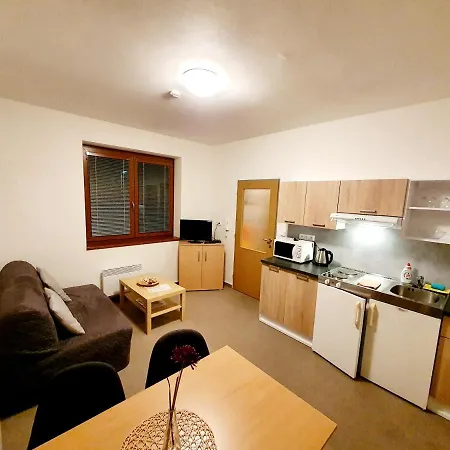 Penzion Dominik Zelezna Ruda Room photo