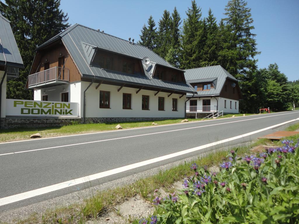 Apartment Dominik *