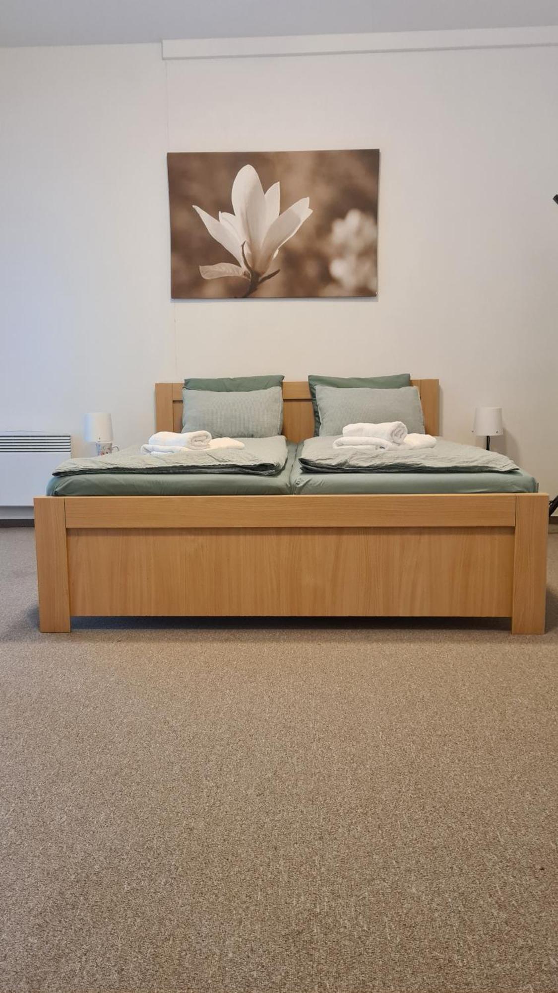 Dominik Appartement Železná Ruda
