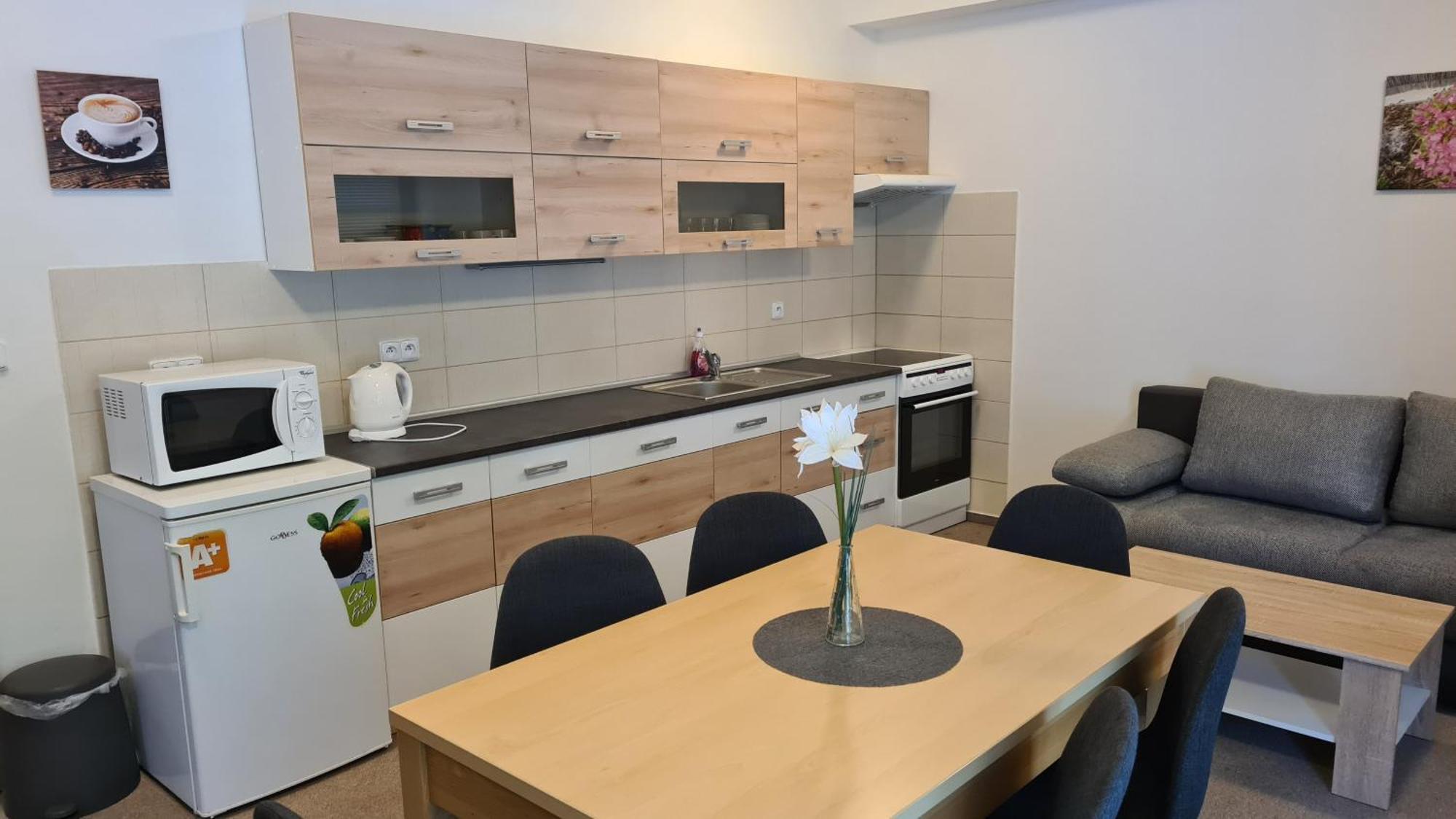 Apartment Dominik